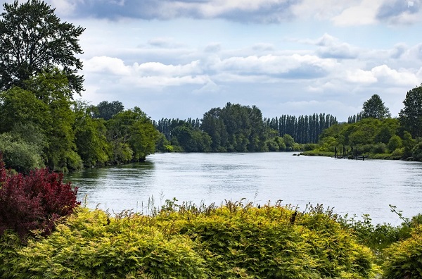 總氮分析儀校準規(guī)范.jpg 總氮分析儀校準規(guī)范.jpg